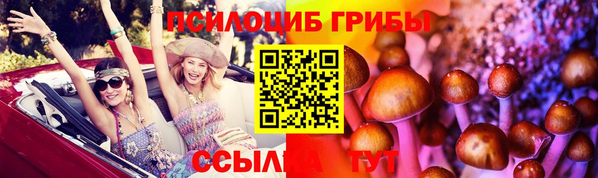 Алушта  Галлюциногенные грибы прущие грибы  Галлюциногенные грибы прущие грибы  Вход с VPN 