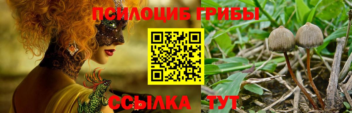 Галлюциногенные грибы ЛСД Алушта